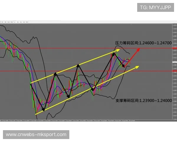 体育科技公司开发球员追踪系统，每秒60帧捕捉29个身体点位量化动作。